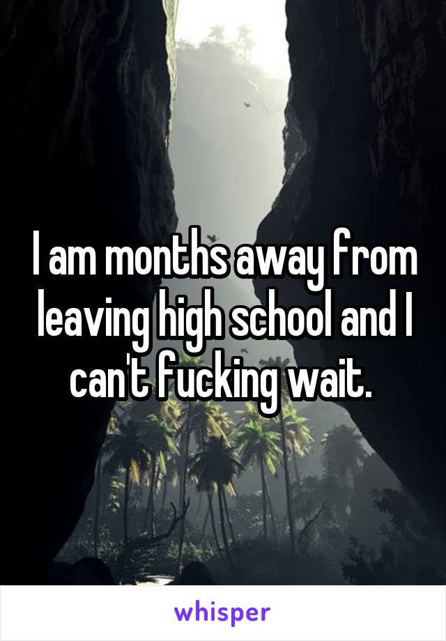 I am months away from leaving high school and I can't fucking wait. 