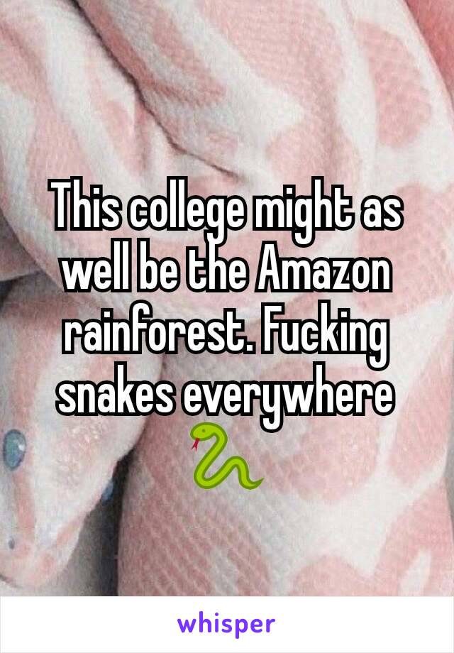 This college might as well be the Amazon rainforest. Fucking snakes everywhere 🐍