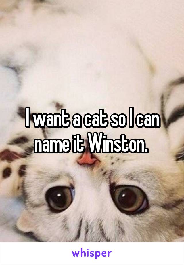 I want a cat so I can name it Winston. 