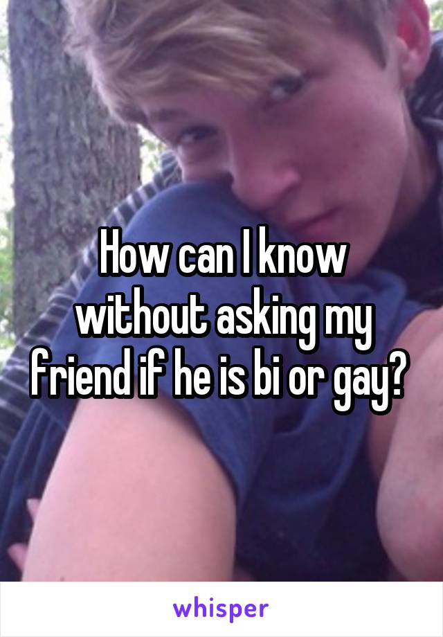 How can I know without asking my friend if he is bi or gay? 