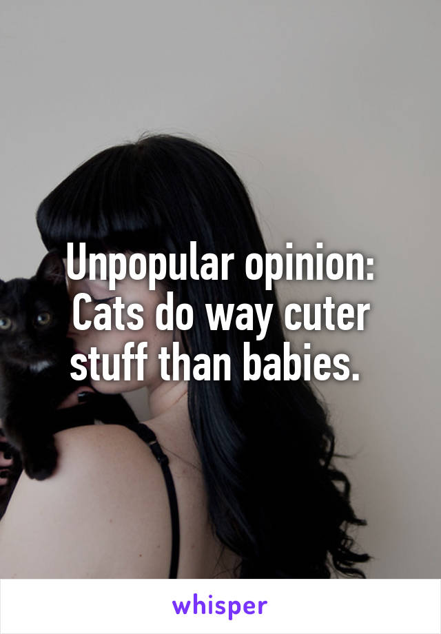 Unpopular opinion: Cats do way cuter stuff than babies. 