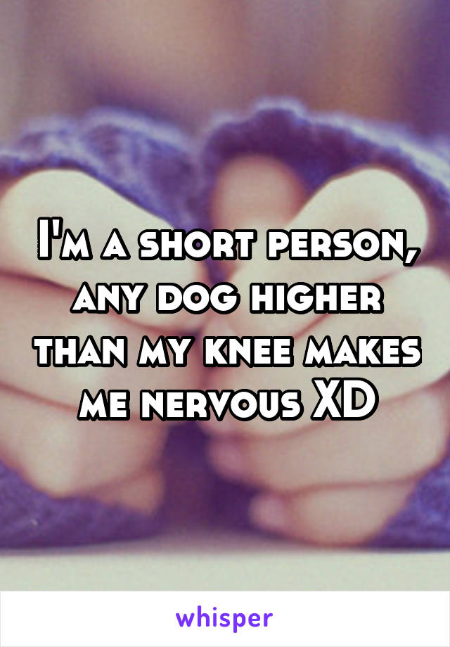 I'm a short person, any dog higher than my knee makes me nervous XD