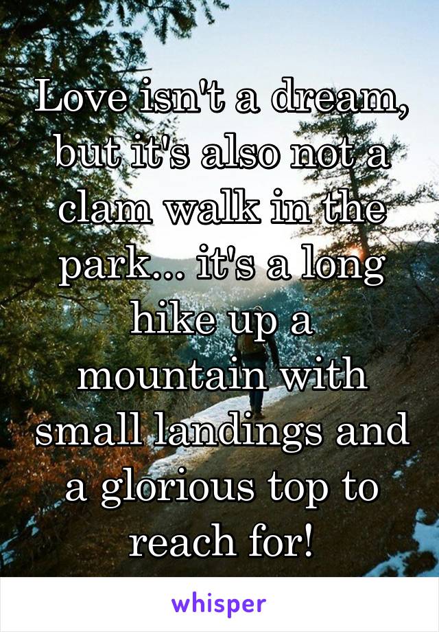 Love isn't a dream, but it's also not a clam walk in the park... it's a long hike up a mountain with small landings and a glorious top to reach for!