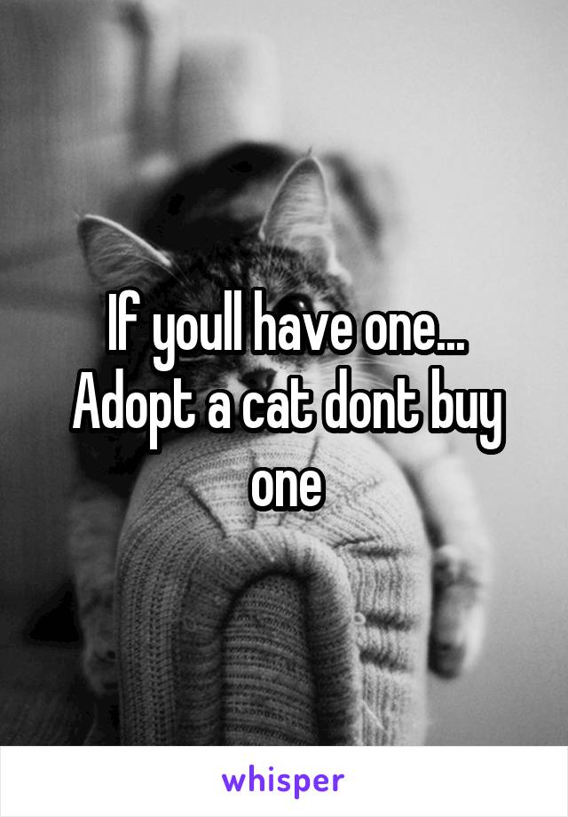 If youll have one...
Adopt a cat dont buy one