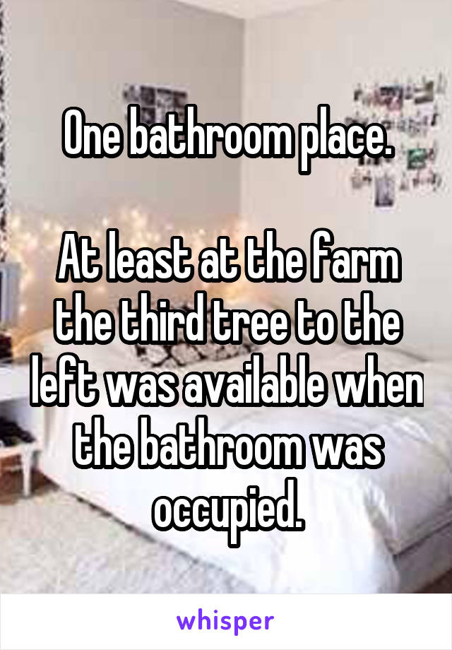 One bathroom place.

At least at the farm the third tree to the left was available when the bathroom was occupied.