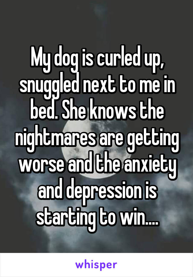 My dog is curled up, snuggled next to me in bed. She knows the nightmares are getting worse and the anxiety and depression is starting to win....