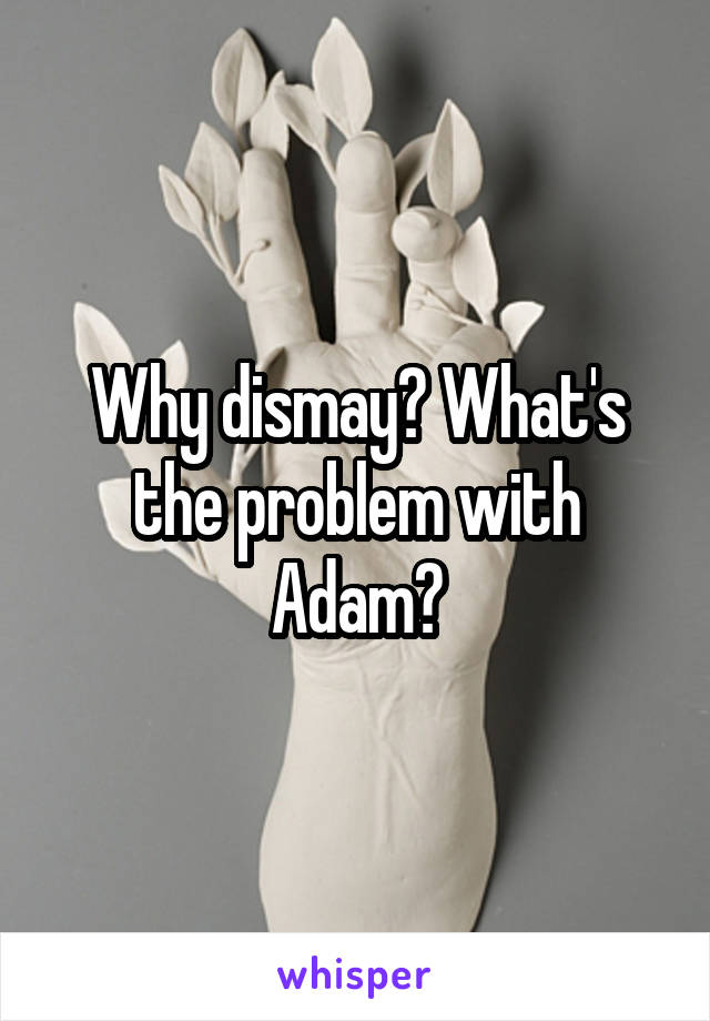 Why dismay? What's the problem with Adam?
