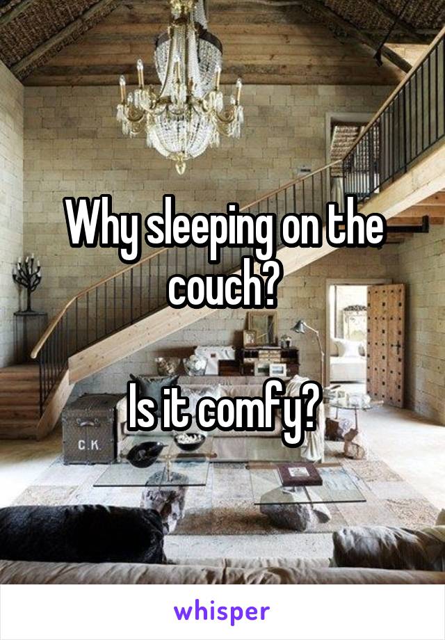 Why sleeping on the couch?

Is it comfy?