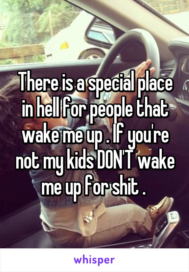 There is a special place in hell for people that wake me up . If you're not my kids DON'T wake me up for shit . 