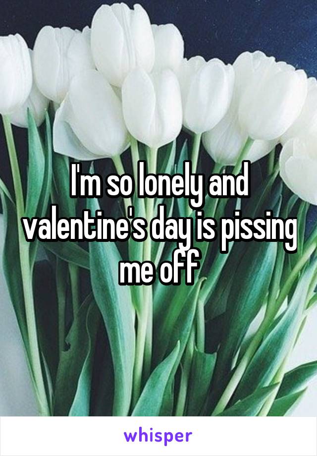 I'm so lonely and valentine's day is pissing me off
