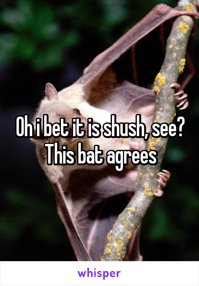 Oh i bet it is shush, see? This bat agrees