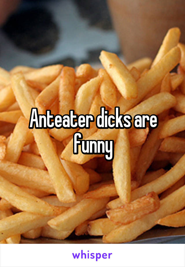Anteater dicks are funny
