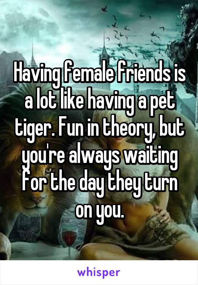 Having female friends is a lot like having a pet tiger. Fun in theory, but you're always waiting for the day they turn on you.