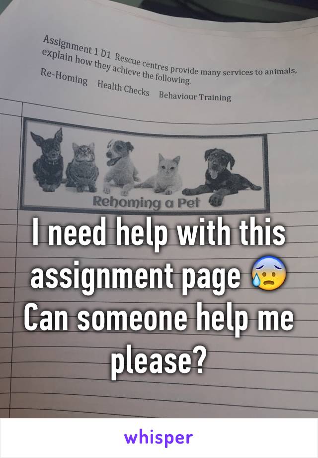 I need help with this assignment page 😰 Can someone help me please? 