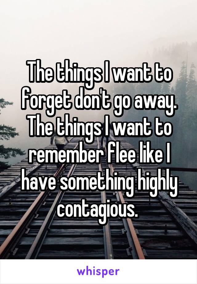 The things I want to forget don't go away. The things I want to remember flee like I have something highly contagious. 