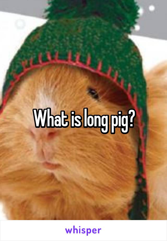 What is long pig?