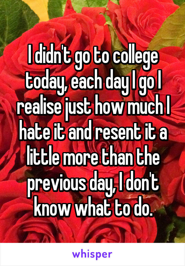 I didn't go to college today, each day I go I realise just how much I hate it and resent it a little more than the previous day, I don't know what to do.