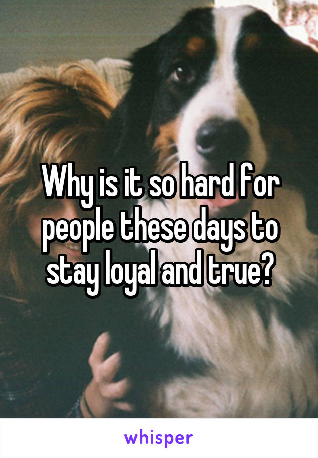Why is it so hard for people these days to stay loyal and true?