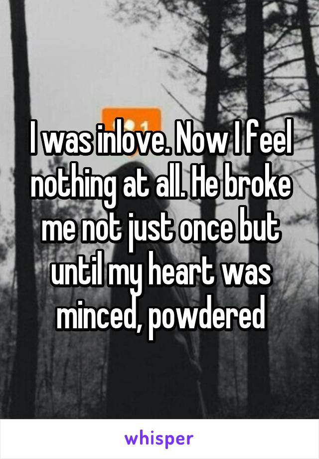 I was inlove. Now I feel nothing at all. He broke me not just once but until my heart was minced, powdered