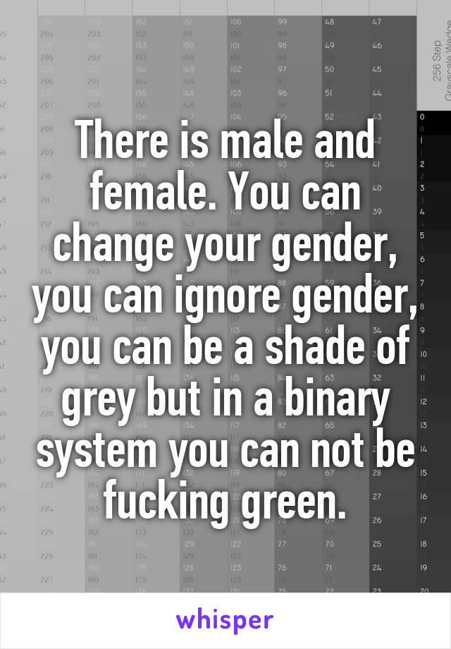 There is male and female. You can change your gender, you can ignore gender, you can be a shade of grey but in a binary system you can not be fucking green.