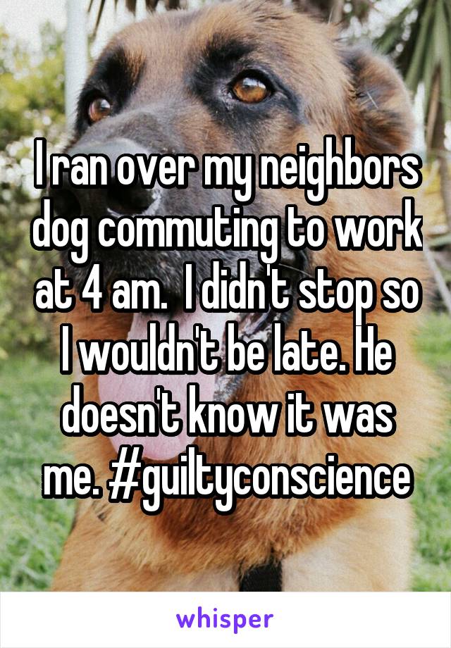 I ran over my neighbors dog commuting to work at 4 am.  I didn't stop so I wouldn't be late. He doesn't know it was me. #guiltyconscience