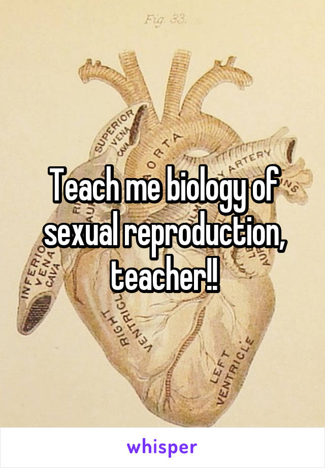 Teach me biology of sexual reproduction, teacher!!