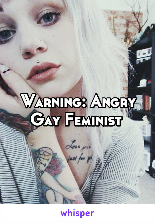 Warning: Angry Gay Feminist 