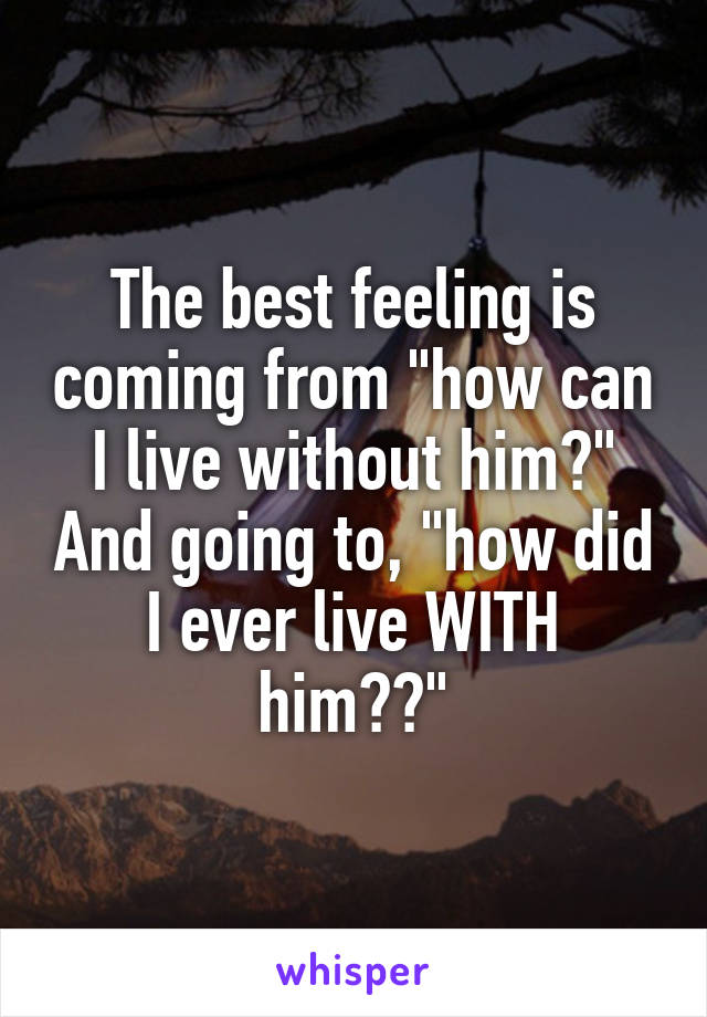 The best feeling is coming from "how can I live without him?" And going to, "how did I ever live WITH him??"