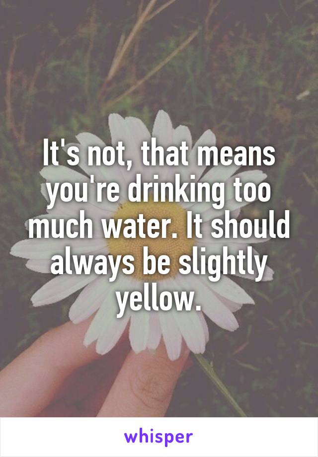 It's not, that means you're drinking too much water. It should always be slightly yellow.