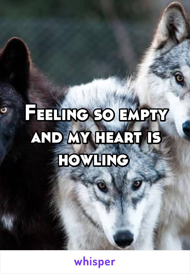Feeling so empty and my heart is howling 