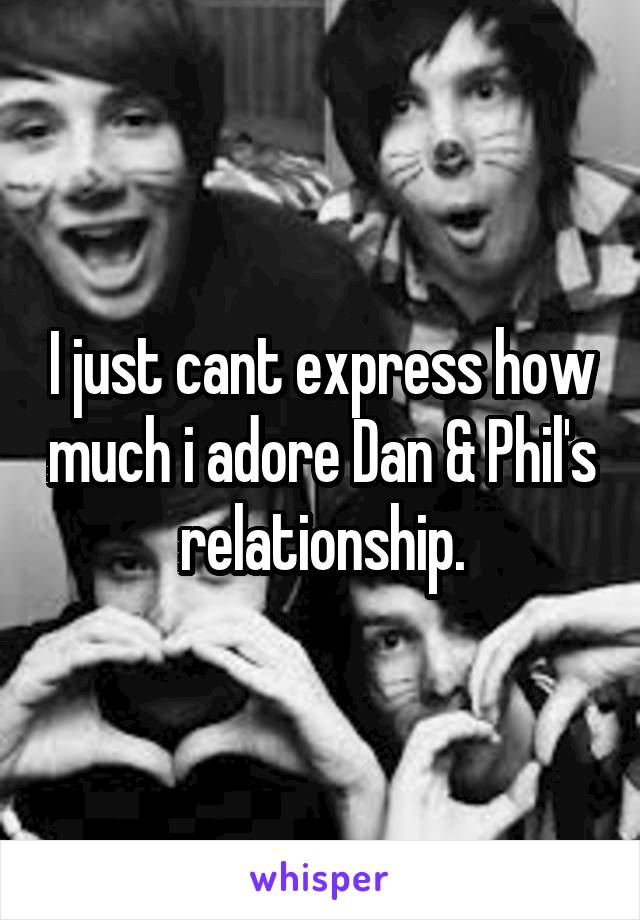 I just cant express how much i adore Dan & Phil's relationship.