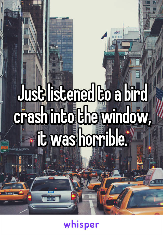 Just listened to a bird crash into the window, it was horrible.