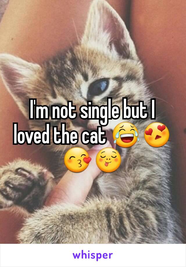 I'm not single but I loved the cat 😂😍😙😋