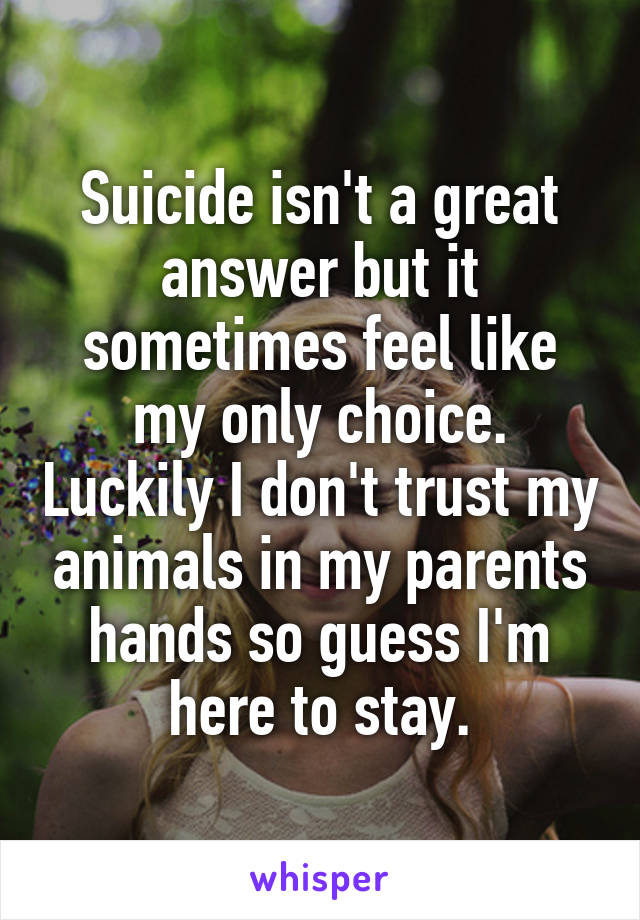 Suicide isn't a great answer but it sometimes feel like my only choice. Luckily I don't trust my animals in my parents hands so guess I'm here to stay.