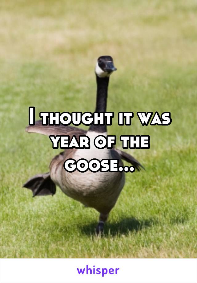 I thought it was year of the goose...