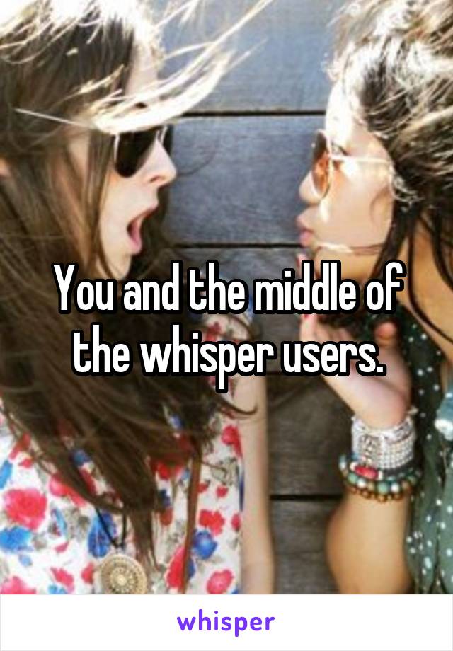You and the middle of the whisper users.