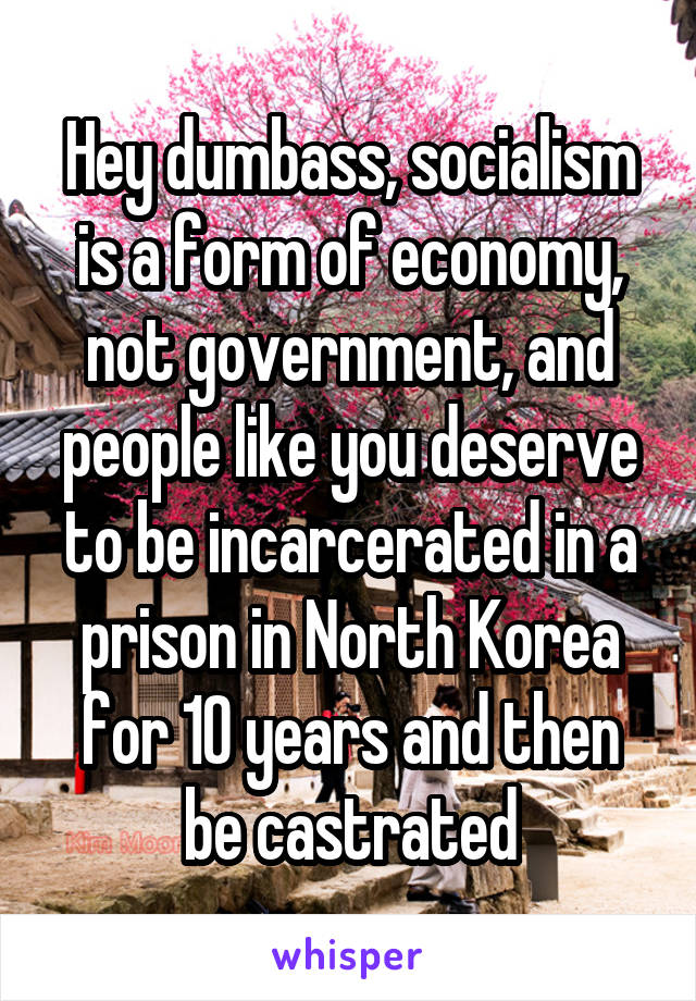 Hey dumbass, socialism is a form of economy, not government, and people like you deserve to be incarcerated in a prison in North Korea for 10 years and then be castrated