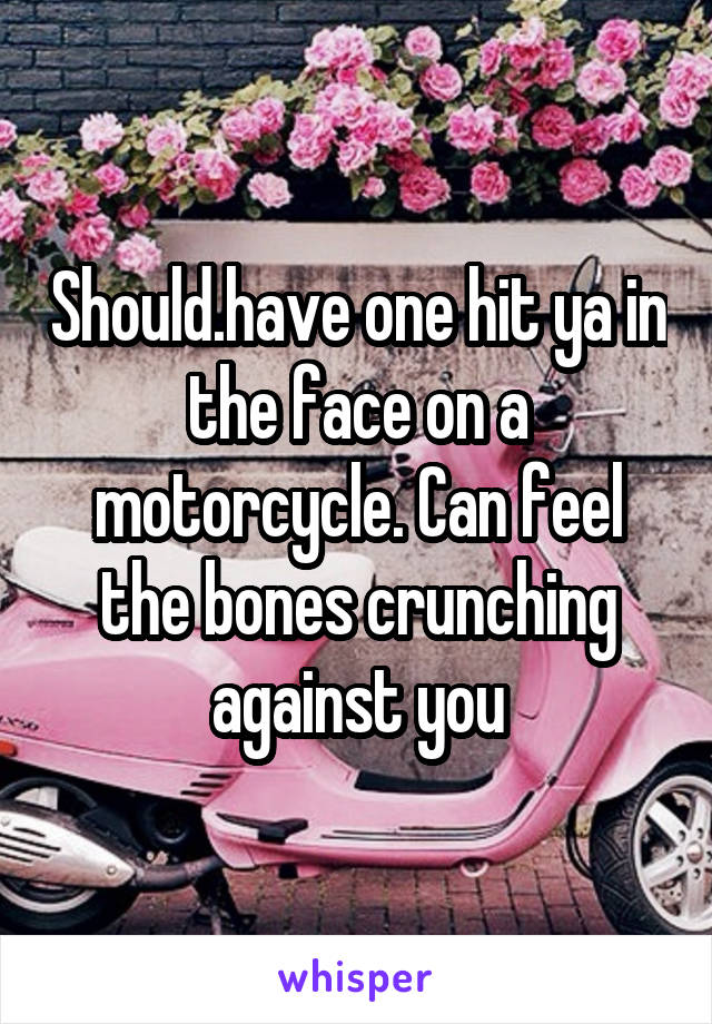 Should.have one hit ya in the face on a motorcycle. Can feel the bones crunching against you