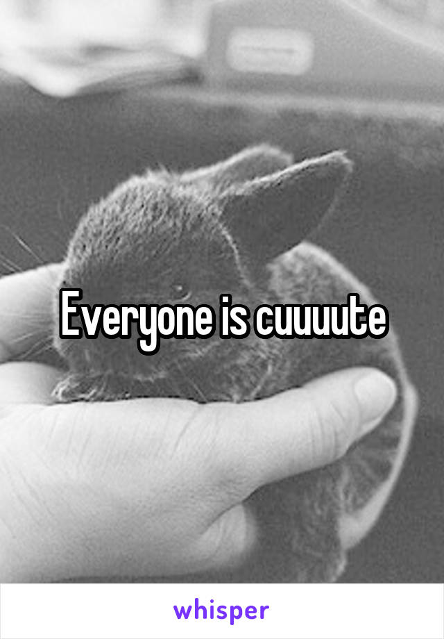 Everyone is cuuuute