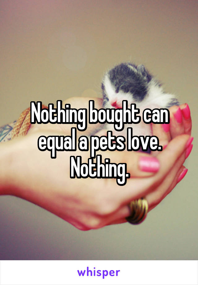 Nothing bought can equal a pets love. Nothing.