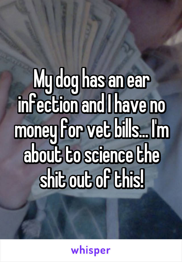 My dog has an ear infection and I have no money for vet bills... I'm about to science the shit out of this!