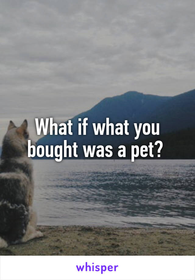 What if what you bought was a pet? 