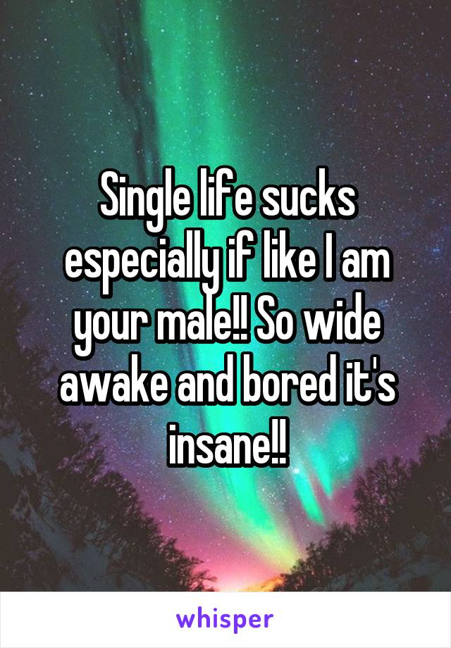 Single life sucks especially if like I am your male!! So wide awake and bored it's insane!!