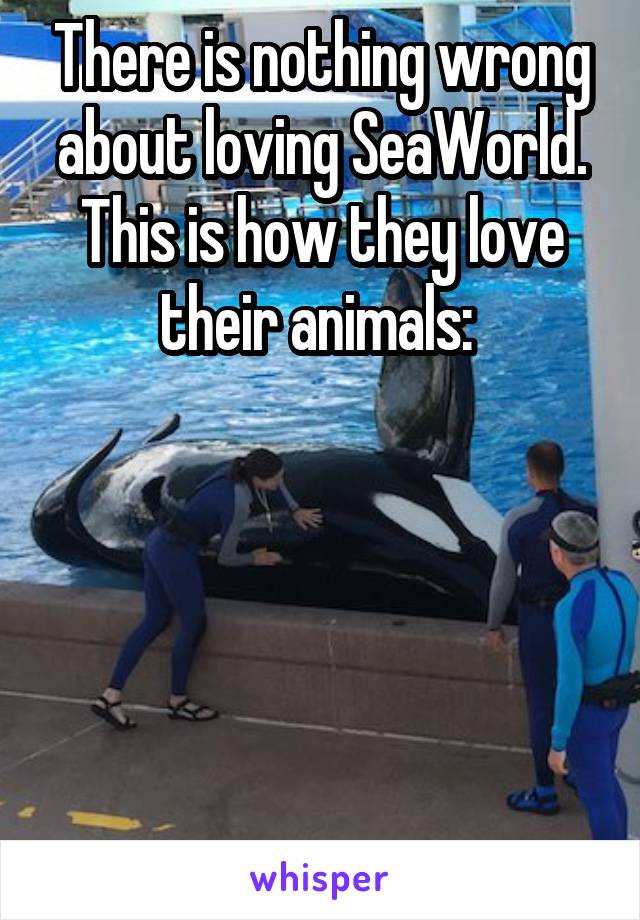 There is nothing wrong about loving SeaWorld. This is how they love their animals: 






