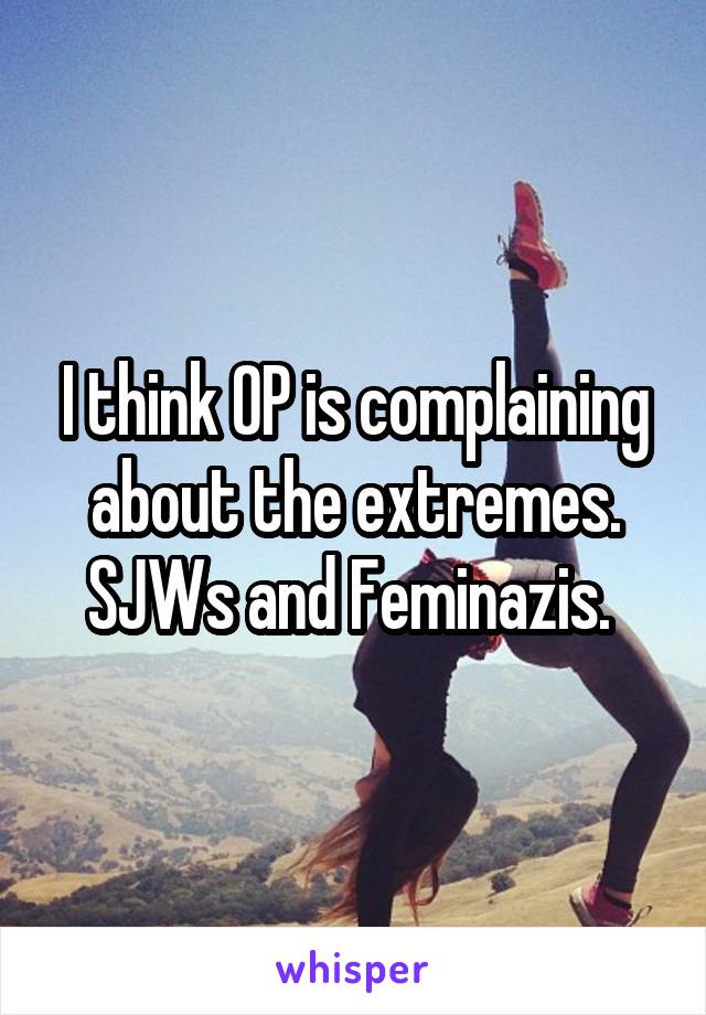 I think OP is complaining about the extremes. SJWs and Feminazis. 