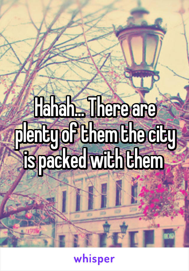 Hahah... There are plenty of them the city is packed with them 