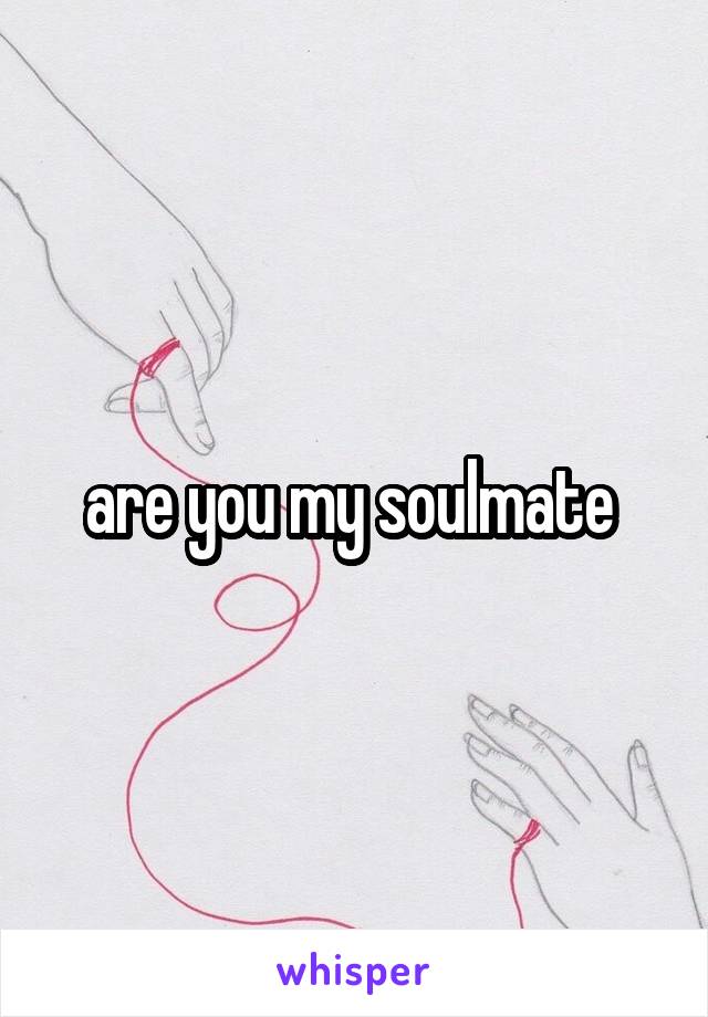 are you my soulmate 