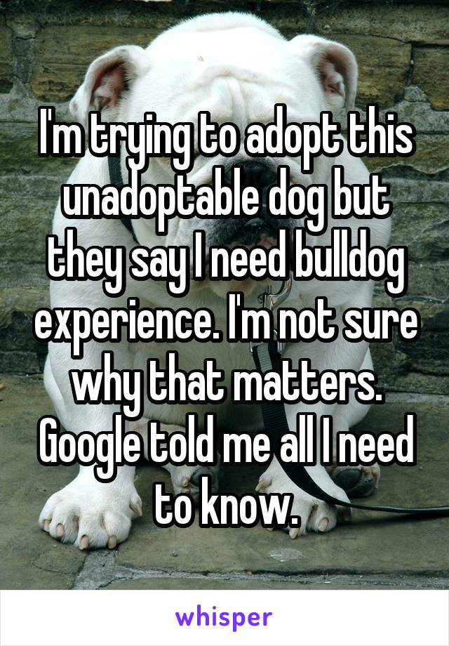 I'm trying to adopt this unadoptable dog but they say I need bulldog experience. I'm not sure why that matters. Google told me all I need to know.