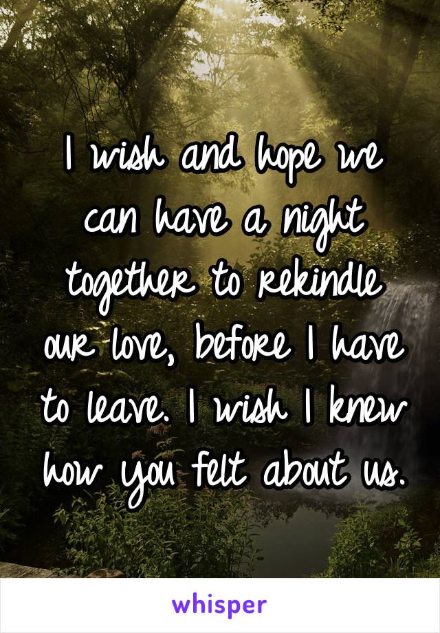 I wish and hope we can have a night together to rekindle our love, before I have to leave. I wish I knew how you felt about us.