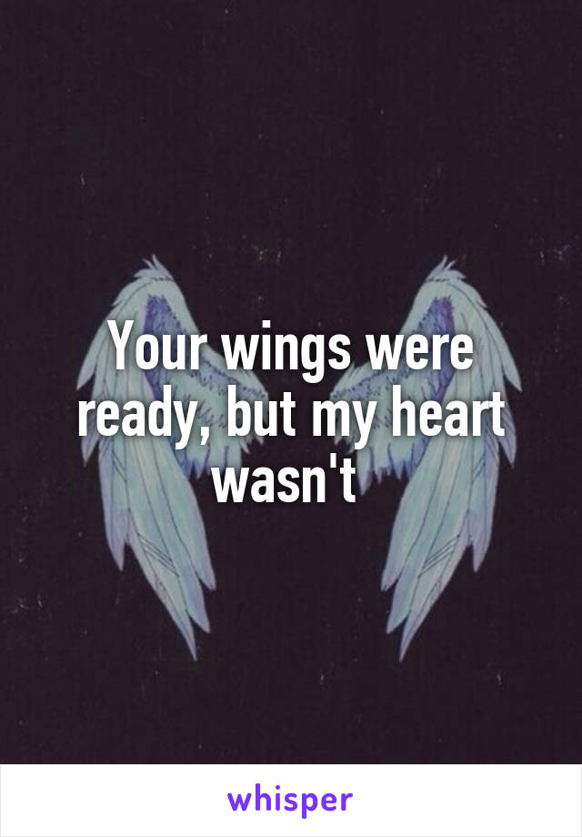 Your wings were ready, but my heart wasn't 